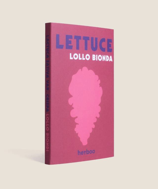 Lettuce 'Lollo Bionda'