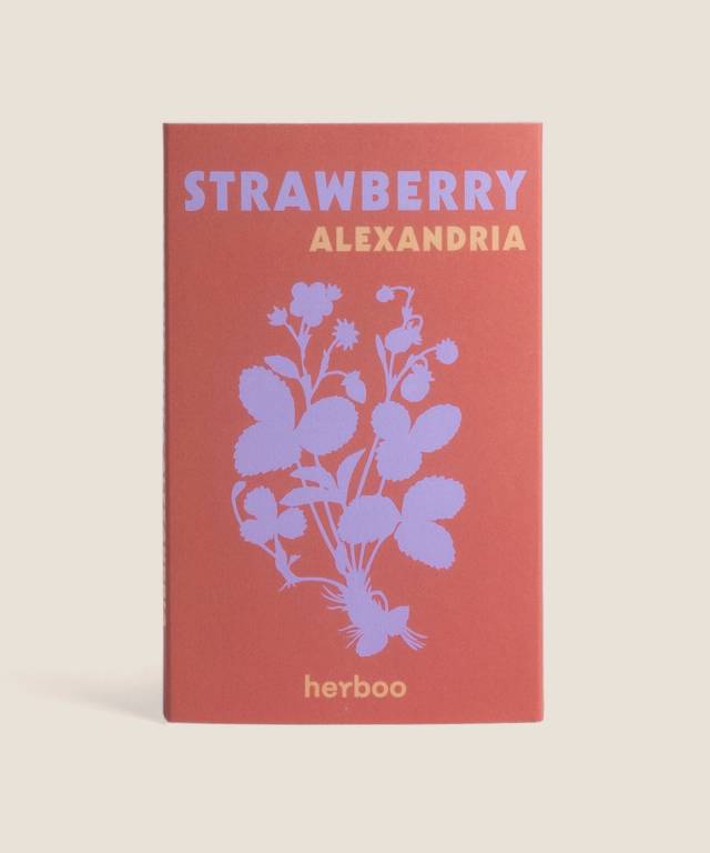 Strawberry Alexandria Seeds