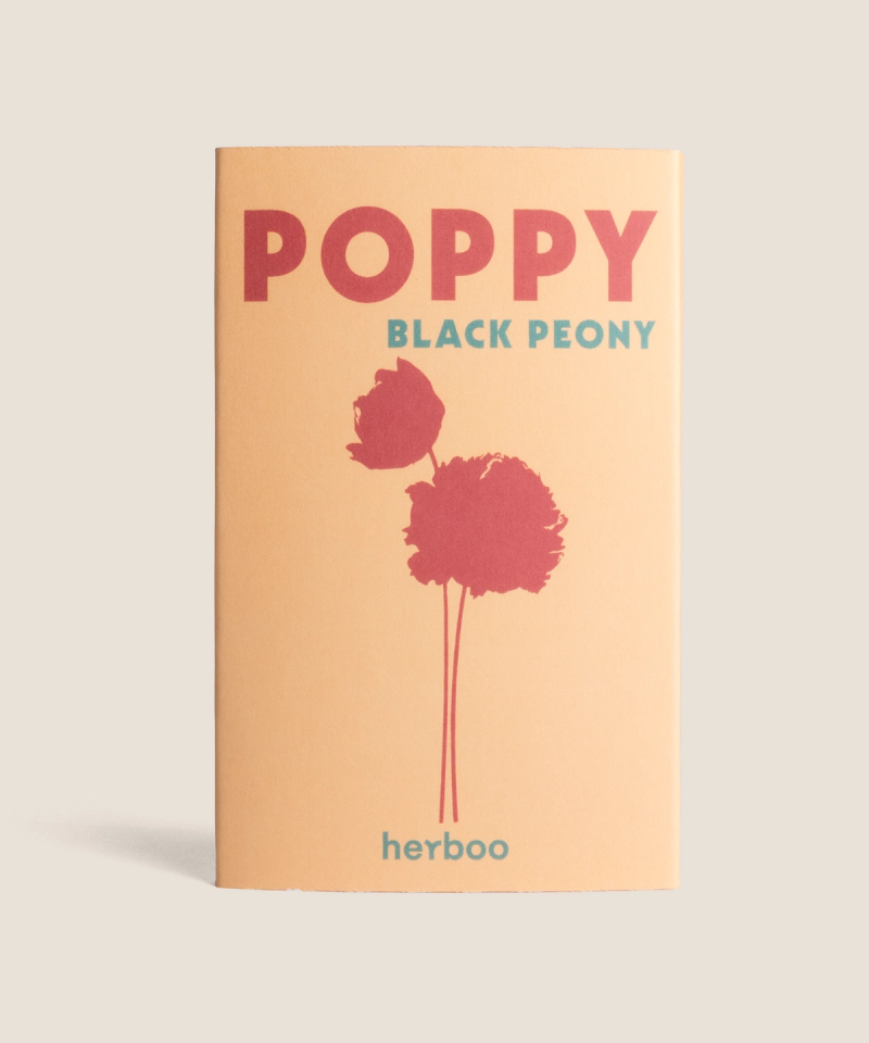 Poppy ‘Black Peony’ seed packet – front with illustrated dark double poppy flowers on a clean background