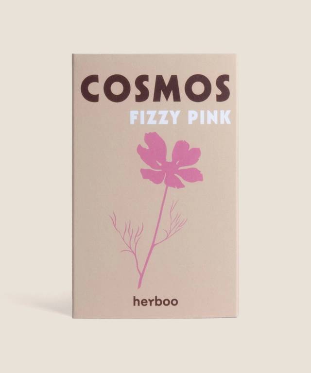 Cosmos Fizzy Pink