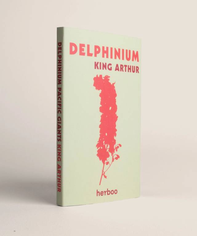 Delphinium King Arthur Seeds