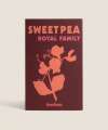 Sweet Pea Royal Family