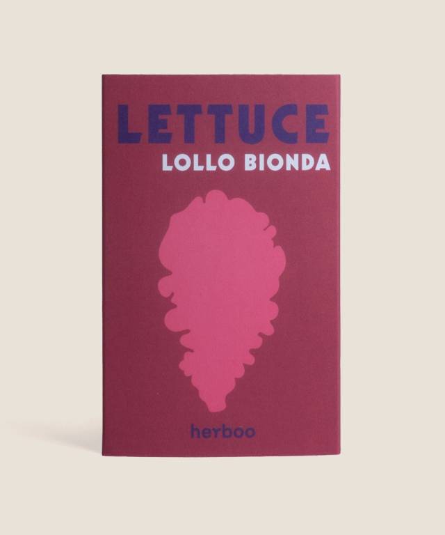 Lettuce 'Lollo Bionda'
