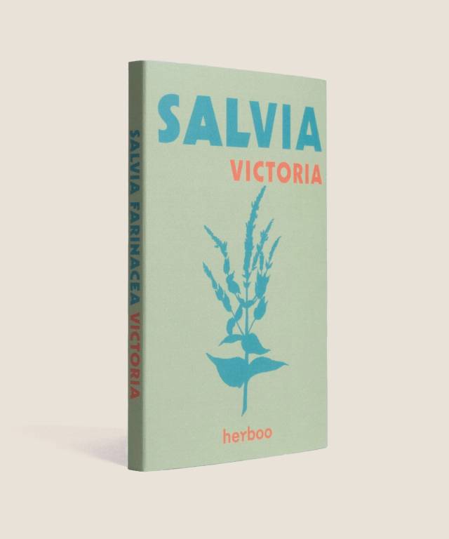Salvia Victoria Seeds