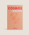 Cosmos Apricotta