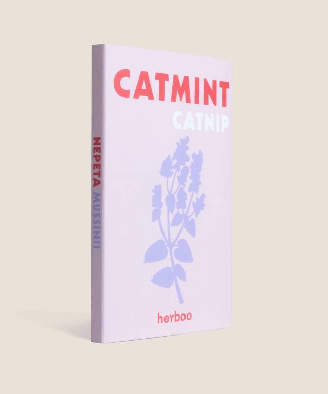 Catmint Seeds - Nepeta Mussinii