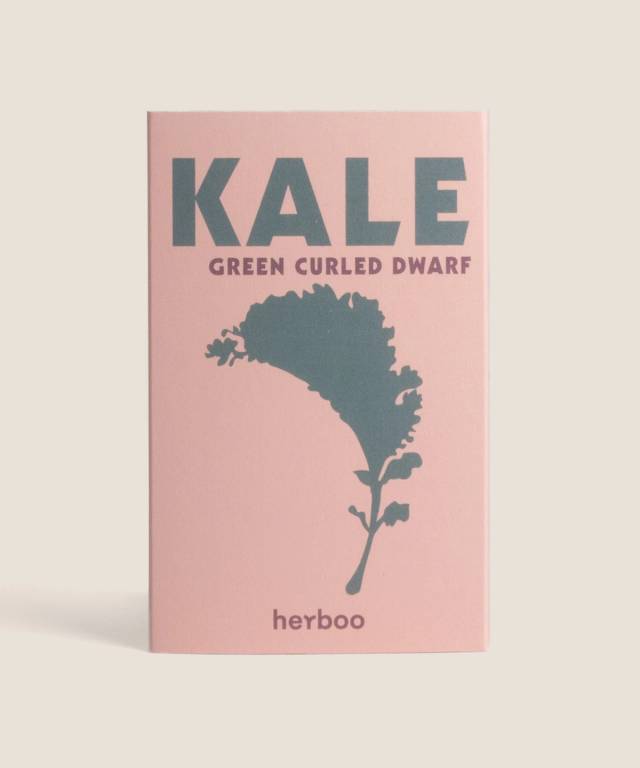 Kale Green Curled Dwarf