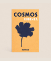 Cosmos Rubenza seed packet showing deep red cosmos illustration on natural paper background