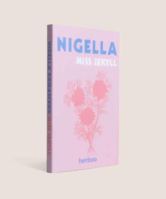 Nigella Love-In-a-Mist