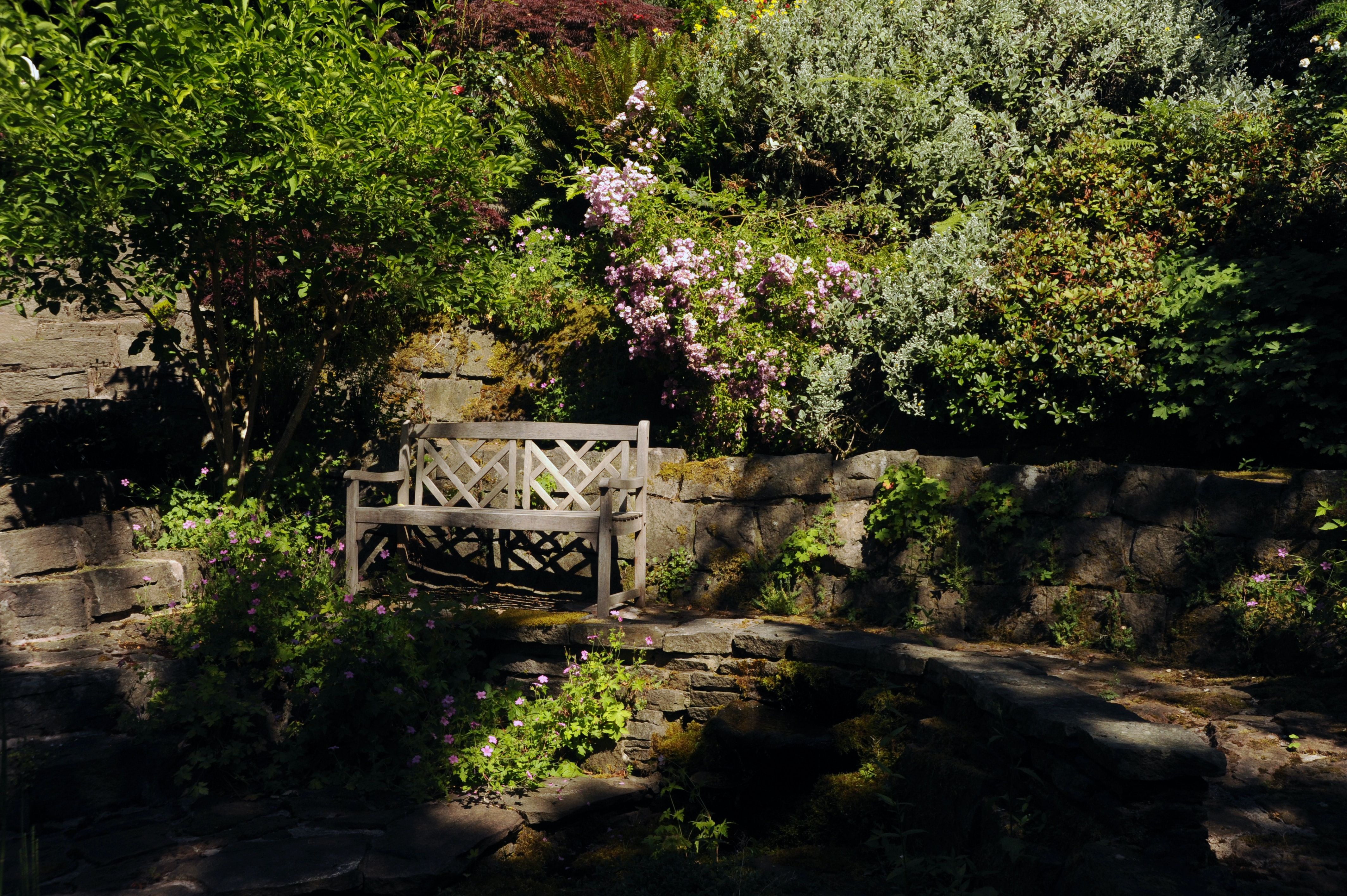 8 Ideas for a Calming Garden | Garden Inspiration | Herboo