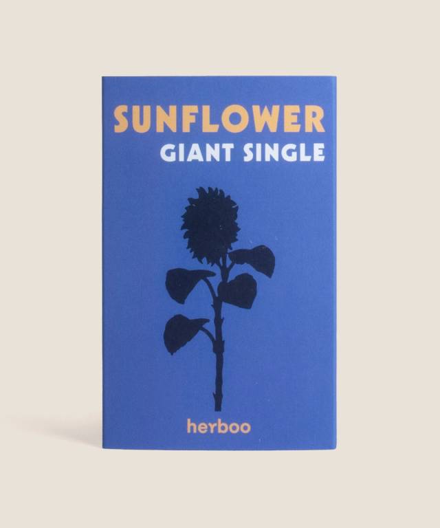 Sunflower Giant Seeds