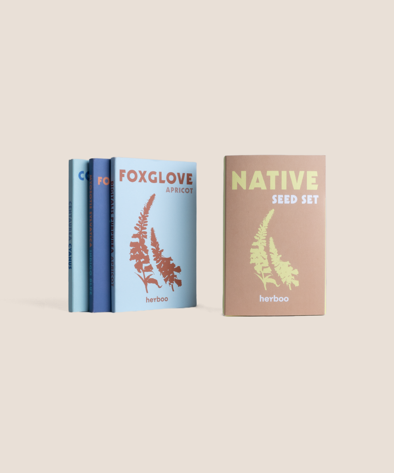 Native Seed Set box with three native flower seed packets displayed together