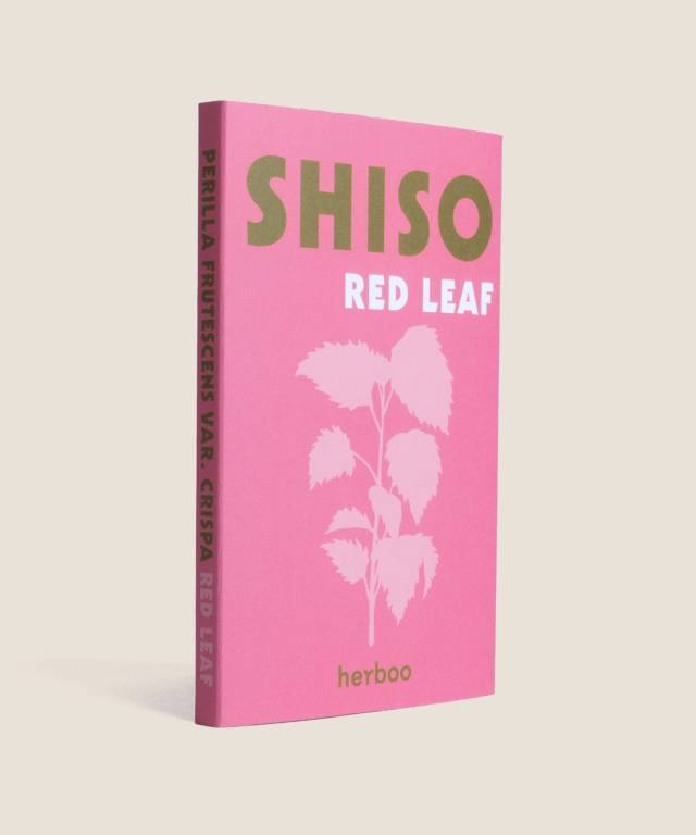 Red Shiso Seeds