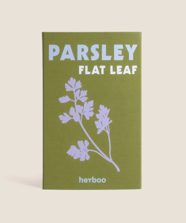 Flat Parsley Seeds, Petroselinum crispum