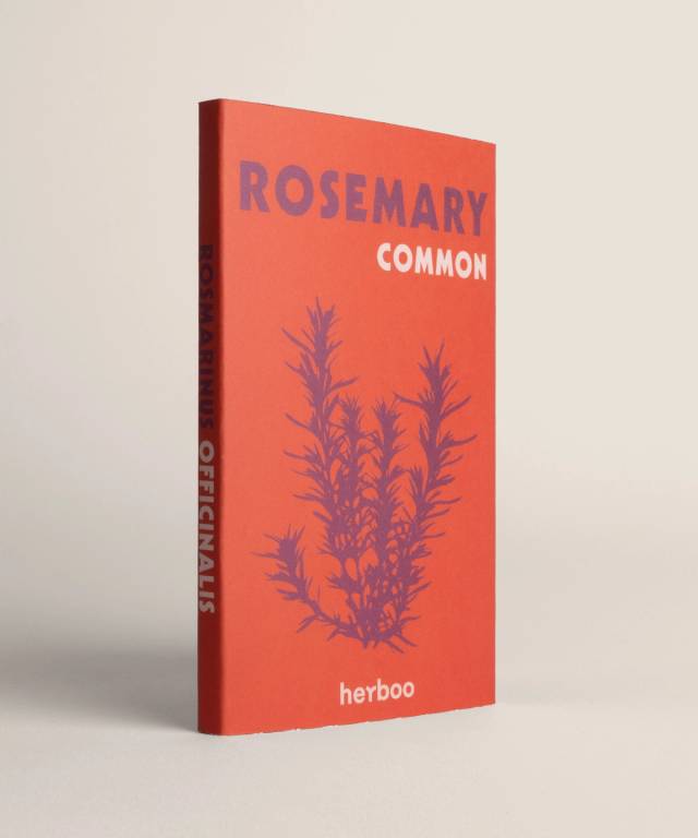 Rosemary Seeds