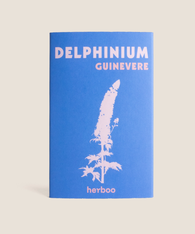 Delphinium Guinevere