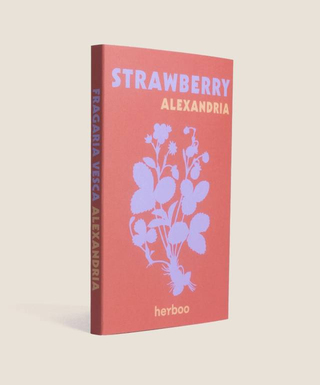 Strawberry Alexandria Seeds
