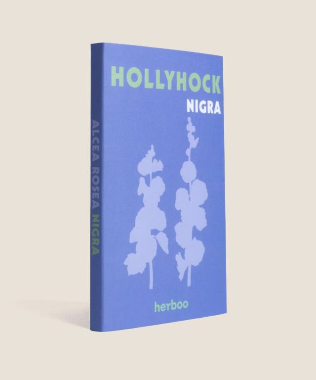 Hollyhocks Nigra