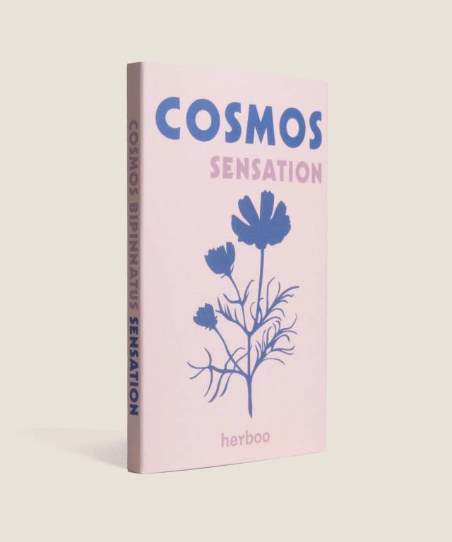 Cosmos Sensation