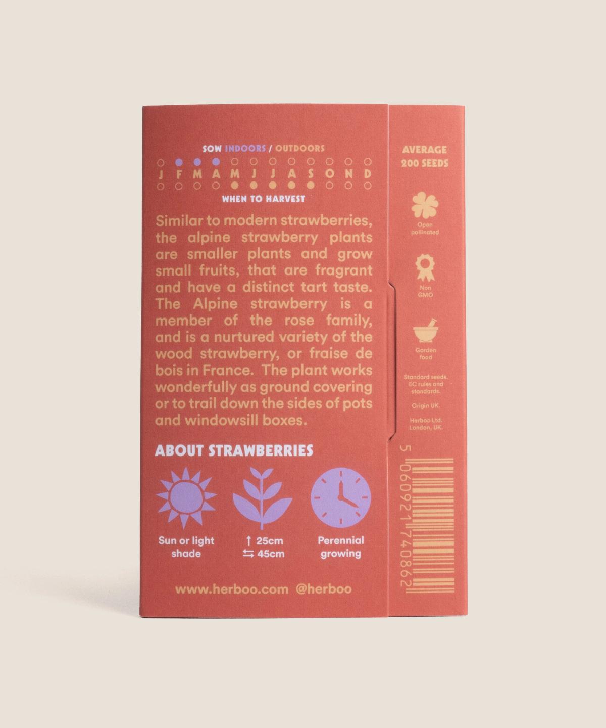 Strawberry Alexandria Seeds