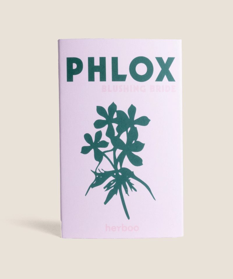 Phlox ‘Blushing Bride’ seeds packet – soft blush pink annual phlox flowers