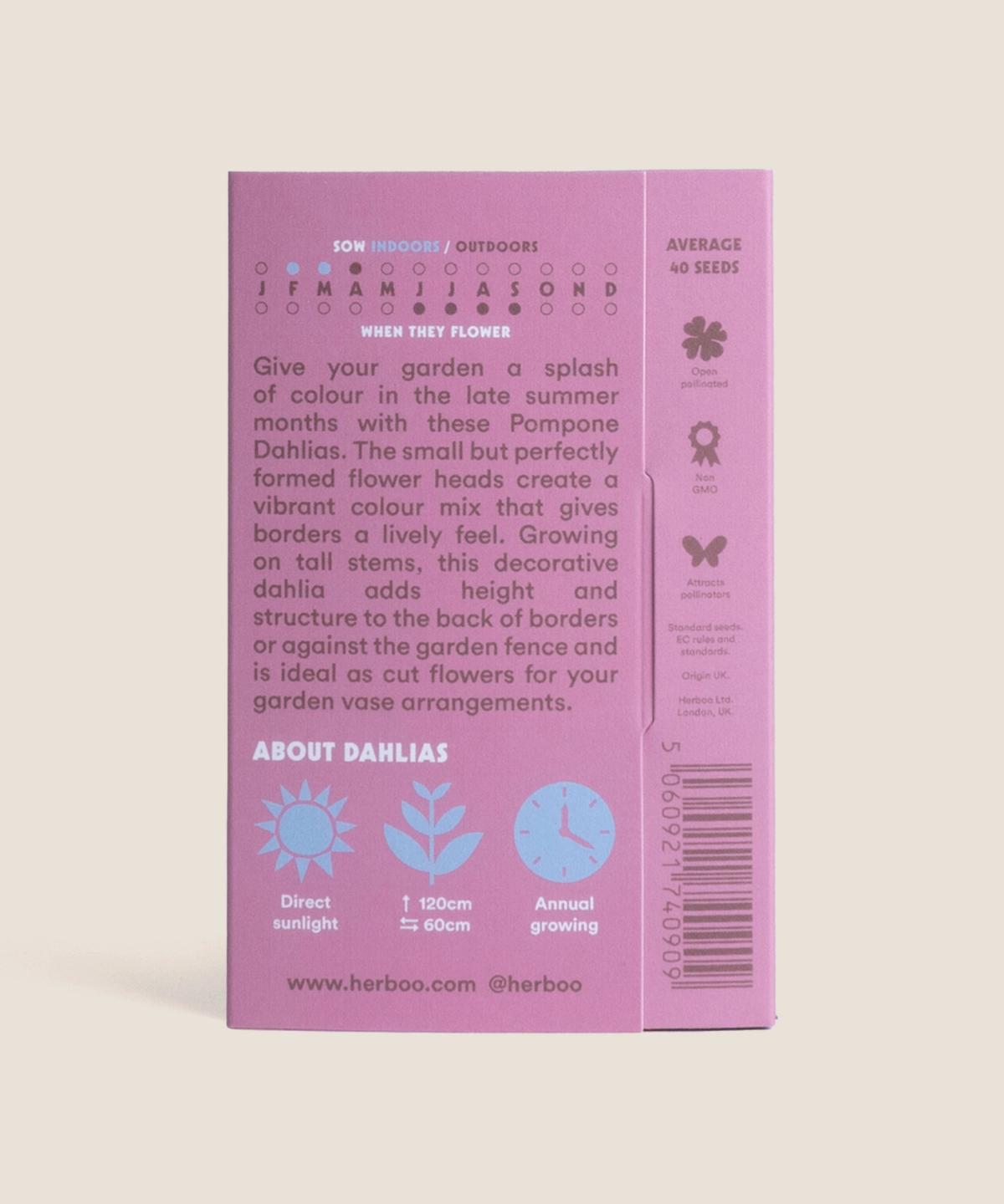 Dahlia Pompone Mixed