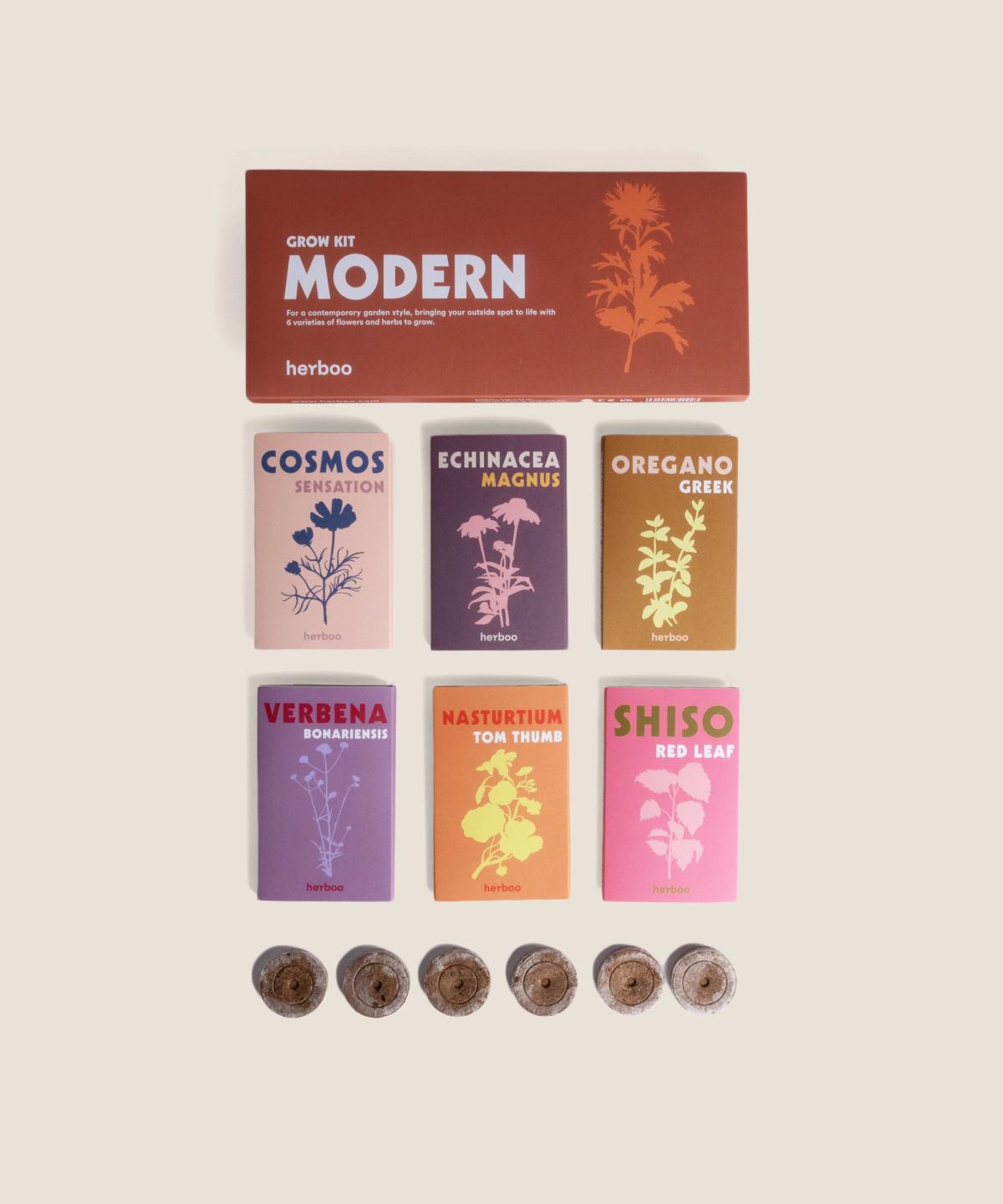 Modern Garden Seed Box flat lay with contemporary seed varieties for UK gardens.