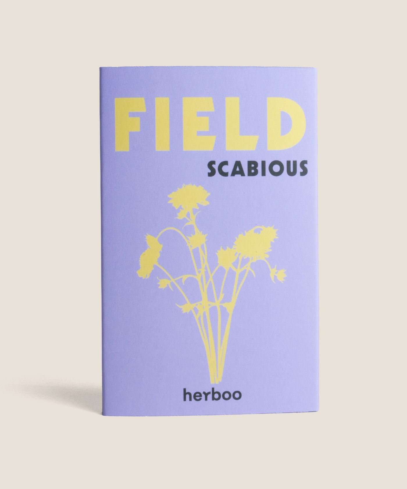 Field Scabious Seeds