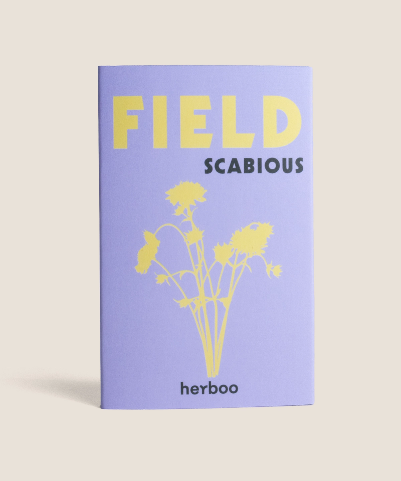 Herboo Field Scabious (Knautia arvensis) seed packet showing lilac pincushion wildflower illustration and native wildflower branding.