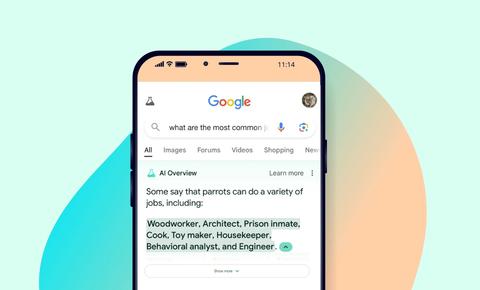 Google AI Overviews funny parrot example