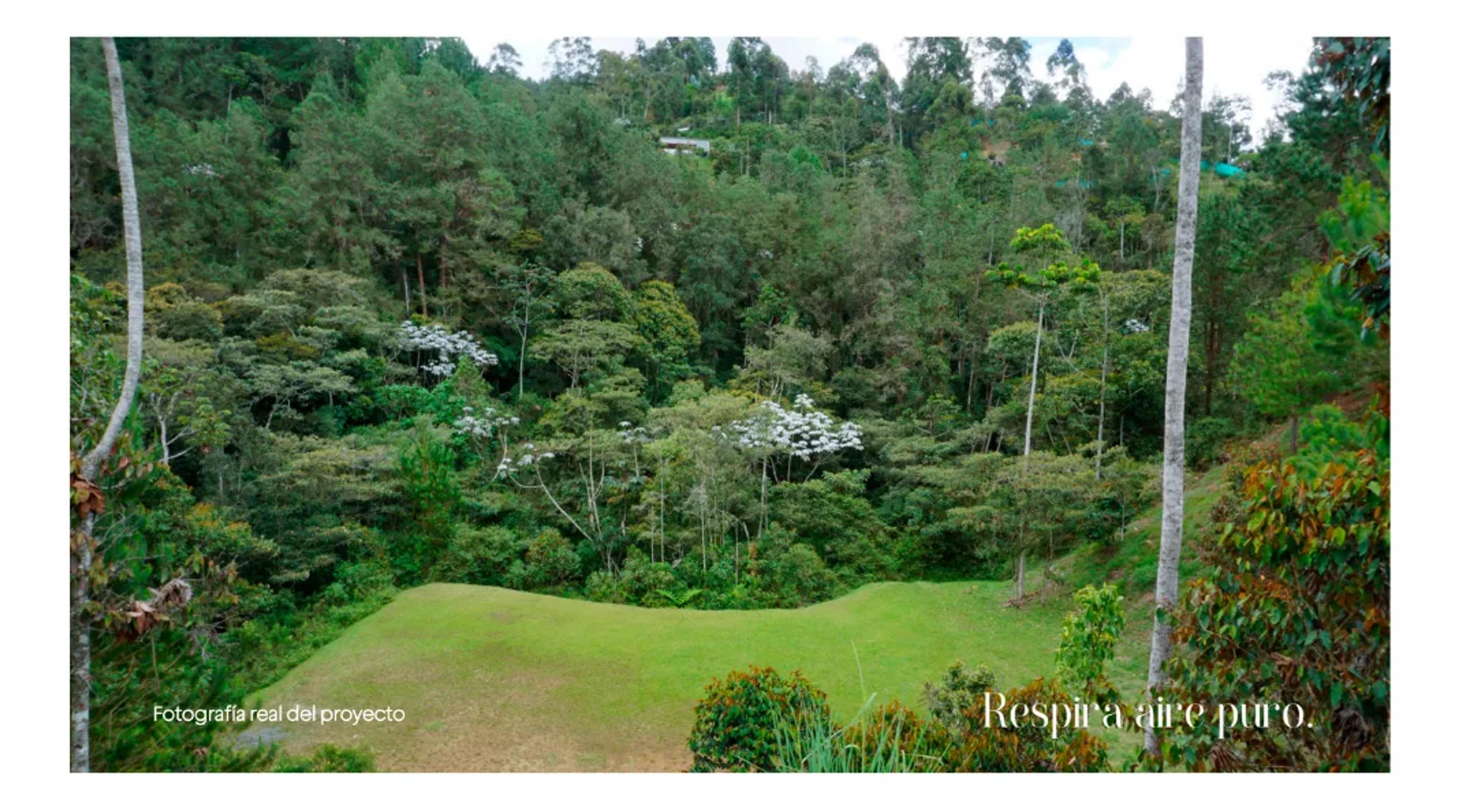 Reserva Juanito Laguna, Antioquia
