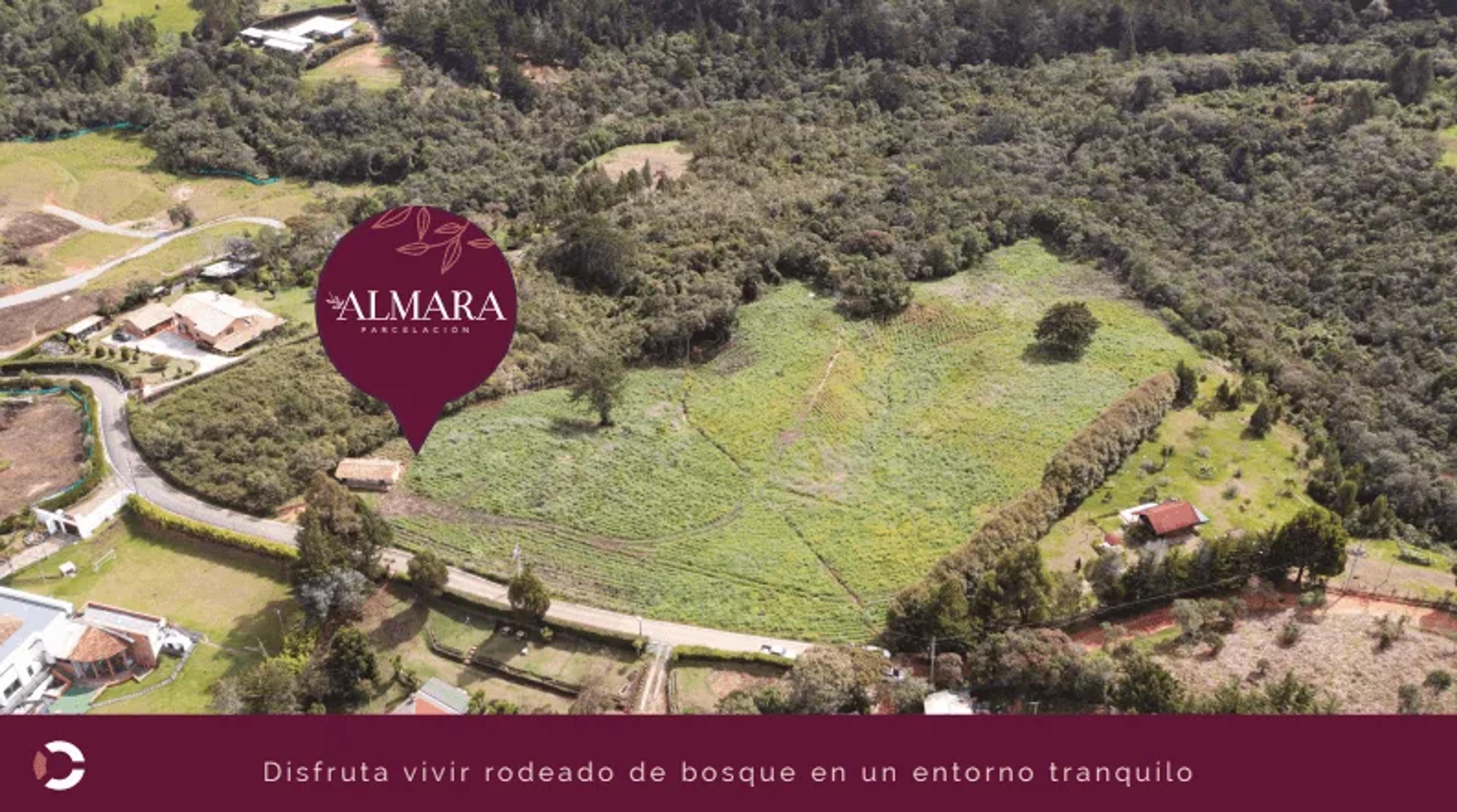 Almara, foto 3