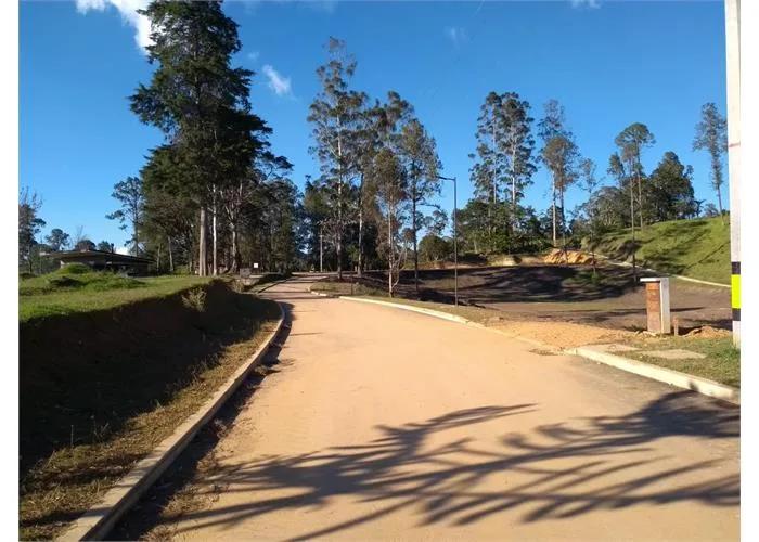 Horizontes, foto 4