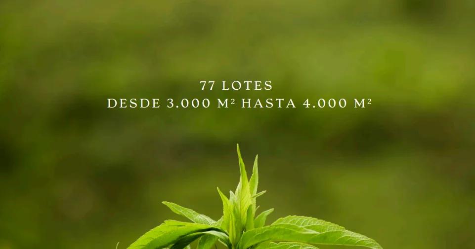 Verde Campiña, foto 4