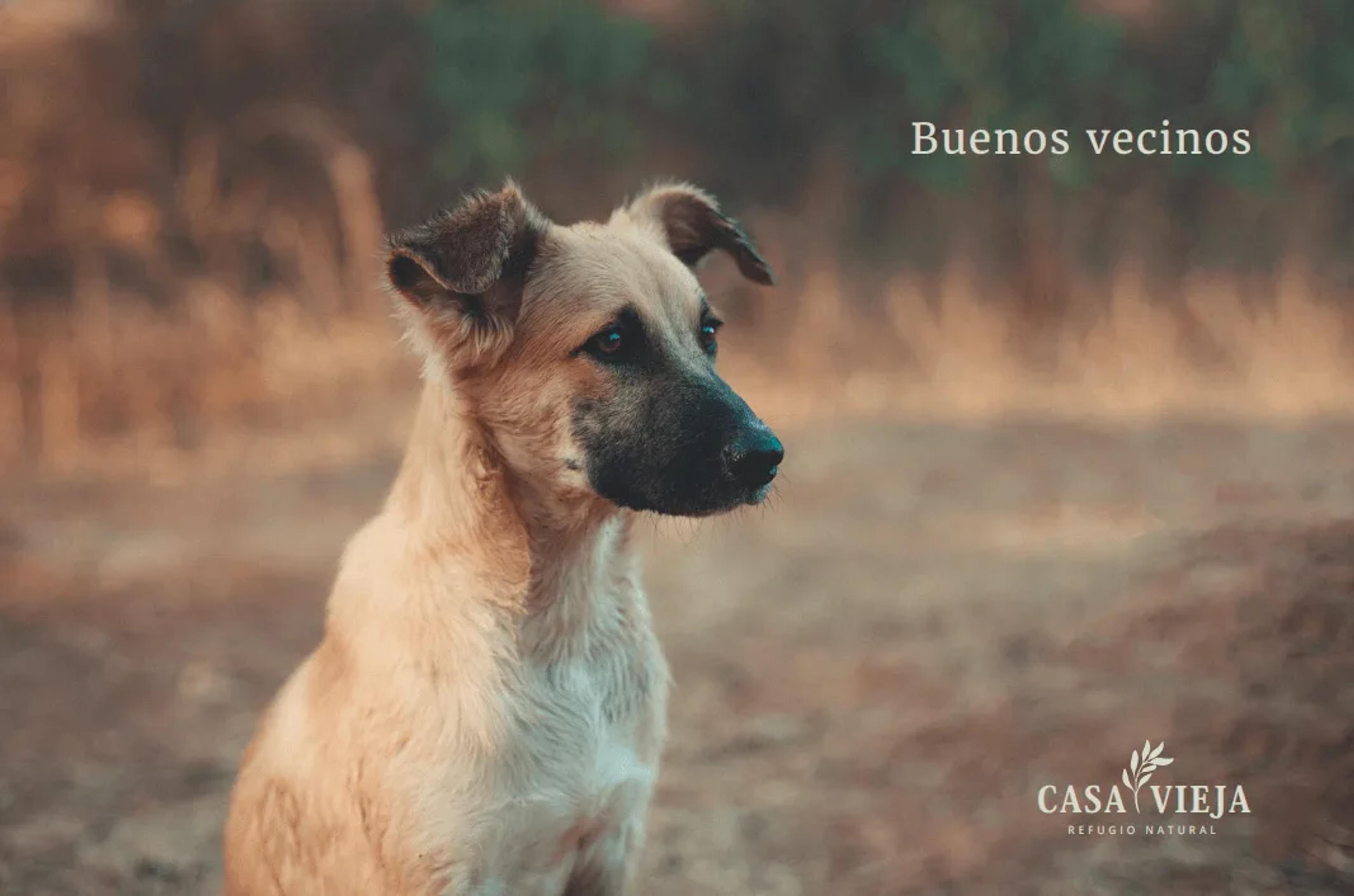 Casa Vieja – Refugio Natural, foto 3