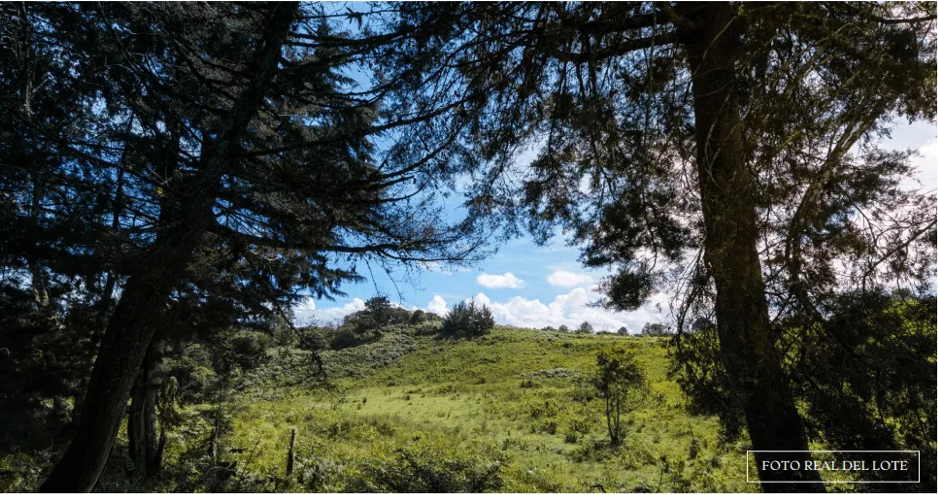 Verde Campiña, foto 3