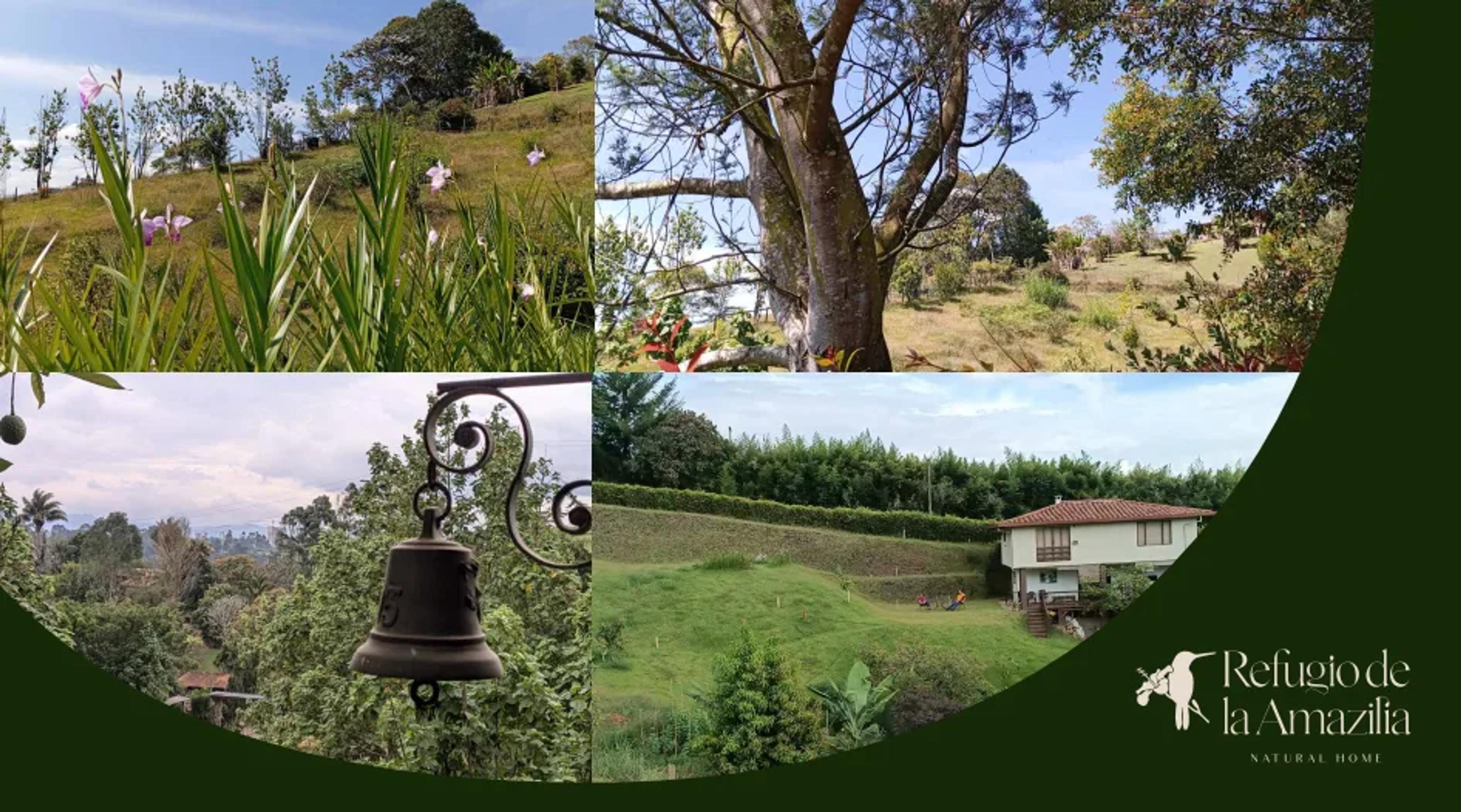 Refugio de la Amazilia, foto 7