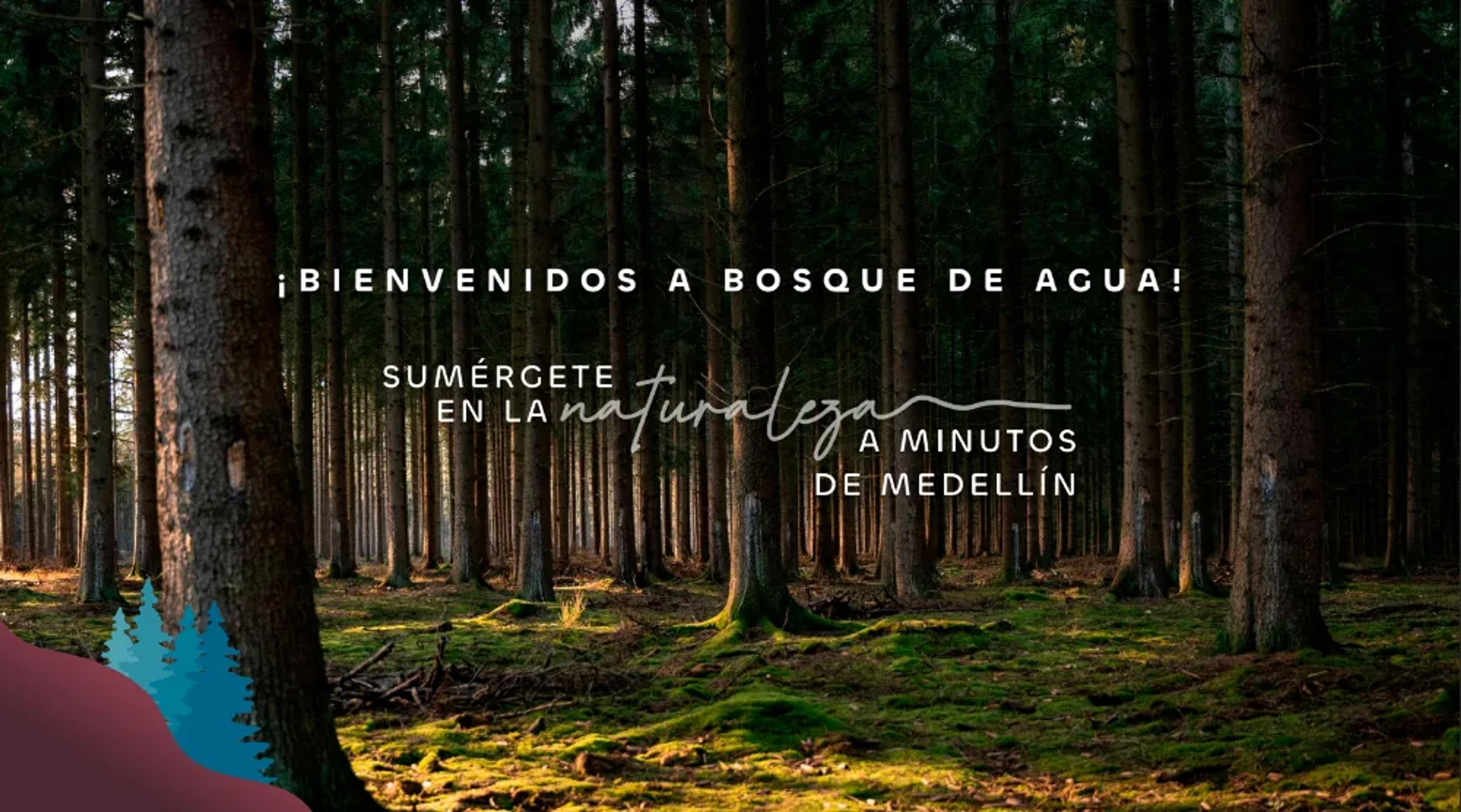 Bosque de Agua, Medellín