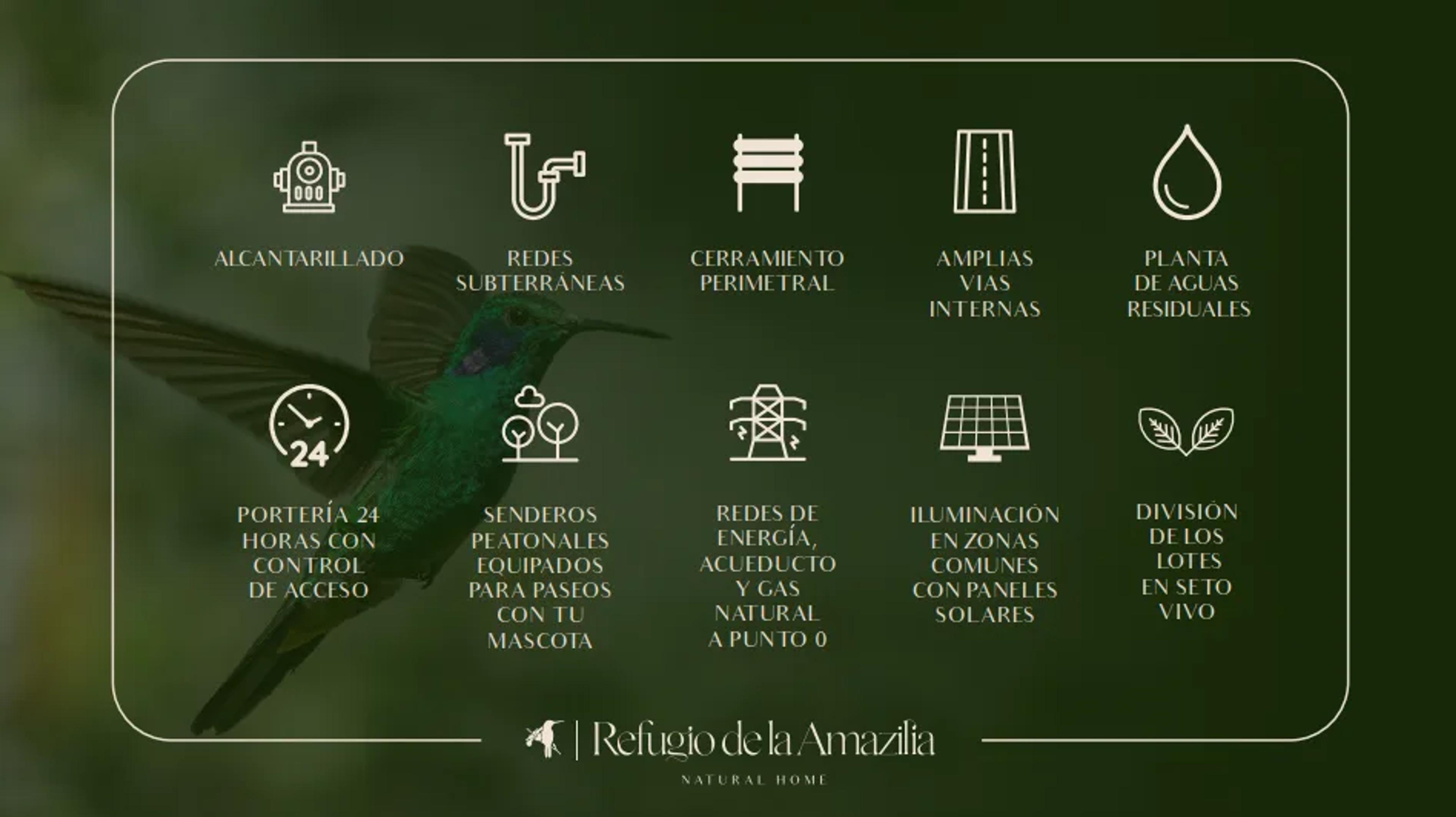 Refugio de la Amazilia, foto 4