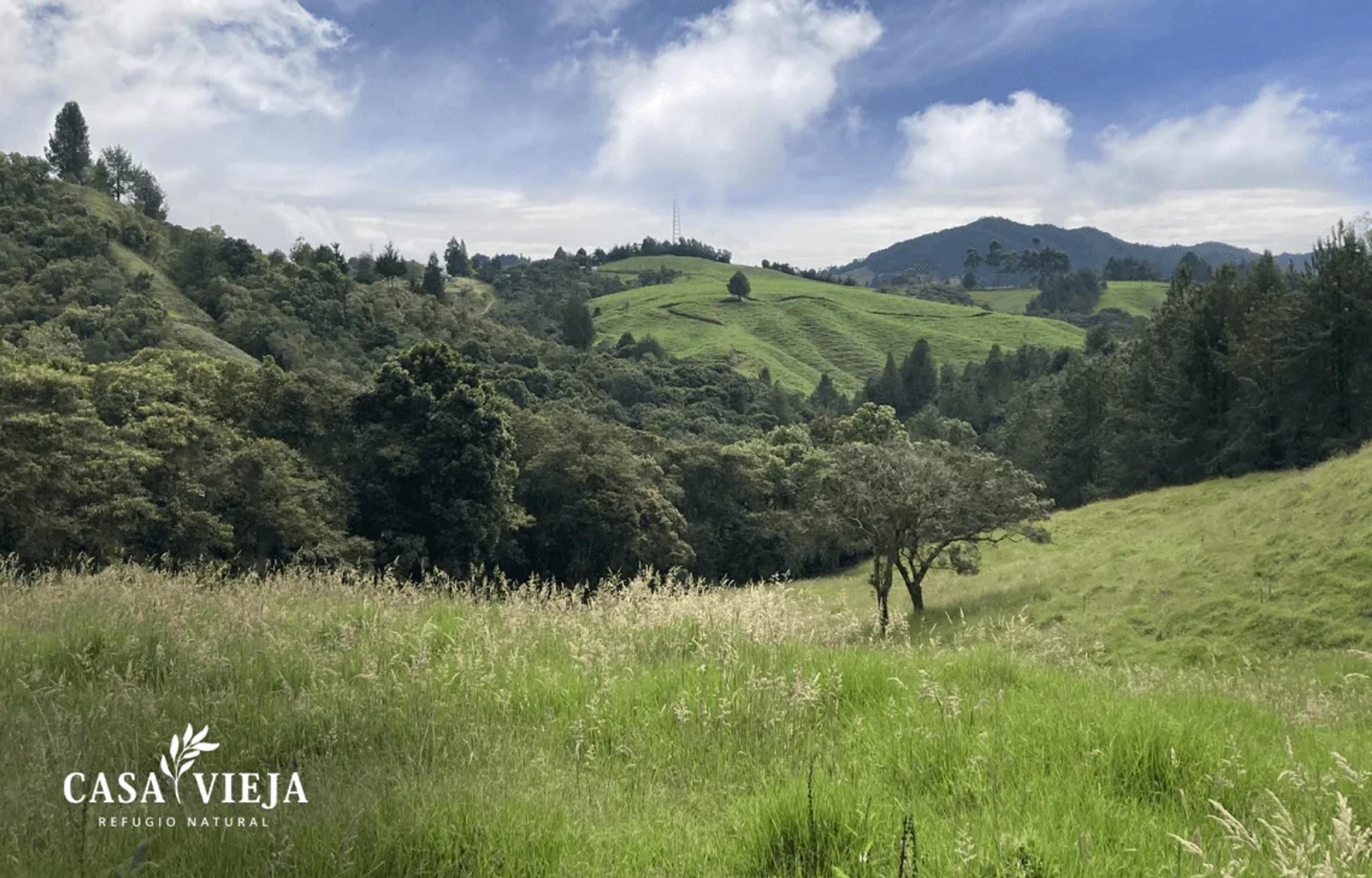 Casa Vieja – Refugio Natural, foto 5
