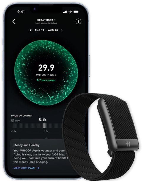 The Fitness Tracker With No Screen That Athletes Swear By: An Honest Whoop Review