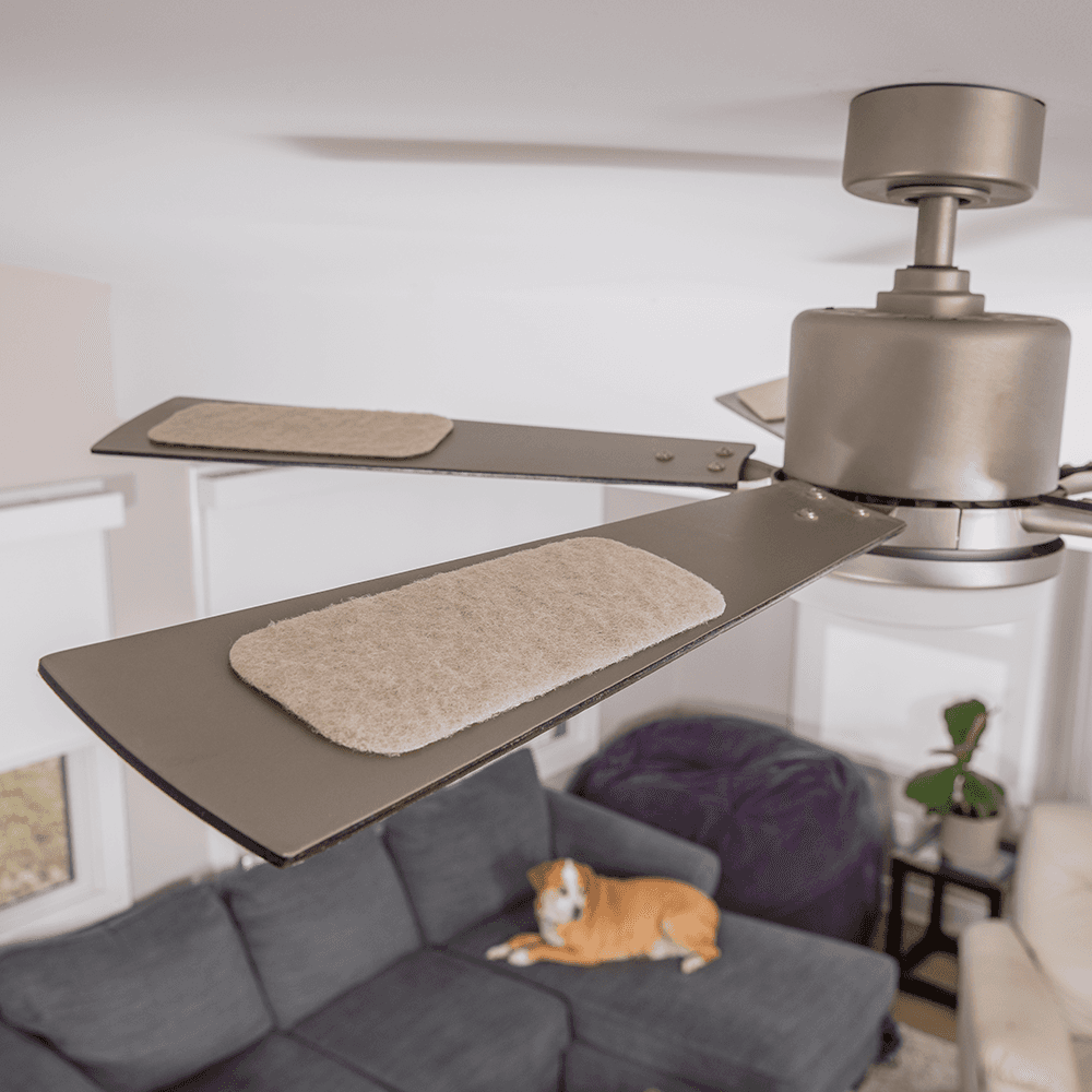 $50 and Silent: The Ceiling-Fan Filter That Cleans Your Whole Room