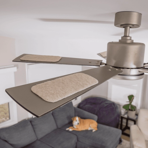 $50 and Silent: The Ceiling-Fan Filter That Cleans Your Whole Room