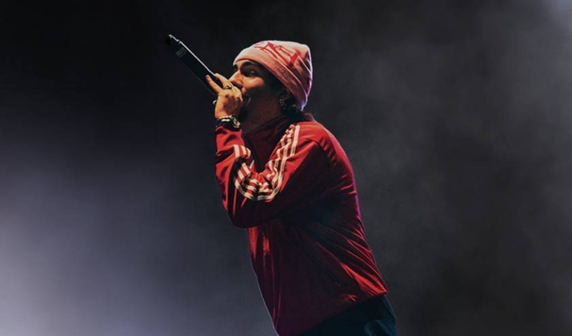 d.valentino__1000x540