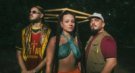 Los Motherflowers