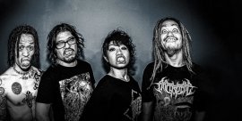 Maximum The Hormone