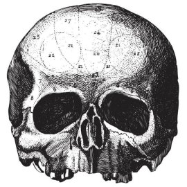 Black Label Society - Route Resurrection