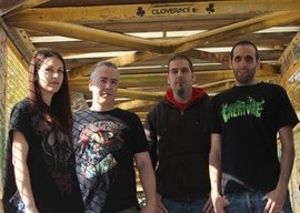 Beryllium + Perennial Isolation + Dullboozer