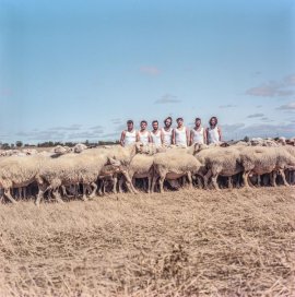 La M.O.D.A. (La Maravillosa Orquesta Del Alcohol)