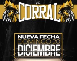 El Corral - Competición Freestyle